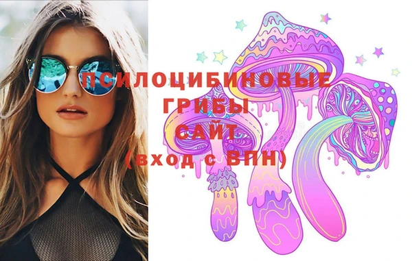 дмт Балахна
