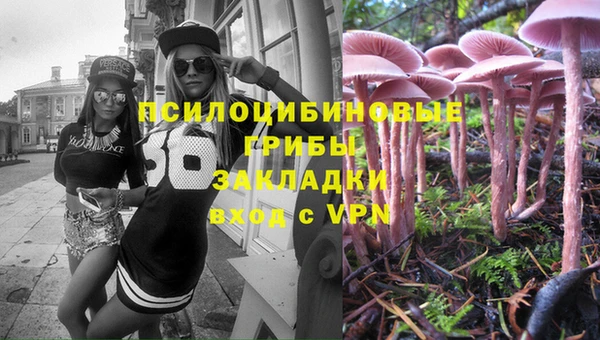 дмт Балахна