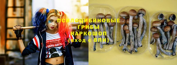 дмт Балахна